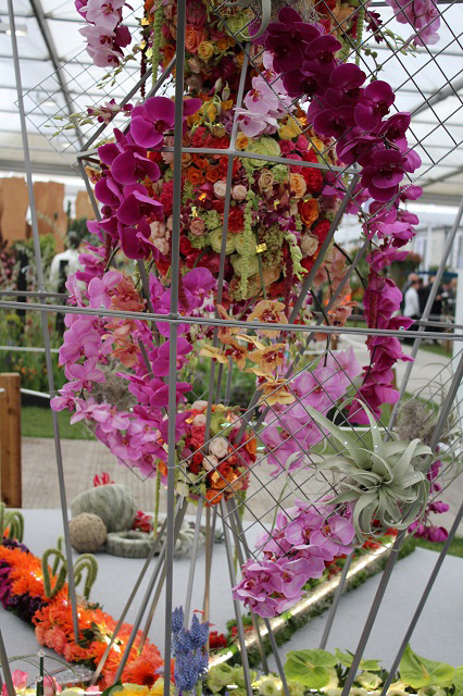 Cheshire Team Win Silver Gilt at RHS Chelsea - gallery photo taken by Pat Murphy