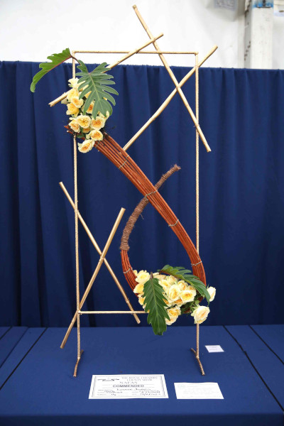 An entry in Stark Contrast class at the 2023 Royal Cheshire Show, incorporating the Cheshire Area Show in the Theatre of Flowers