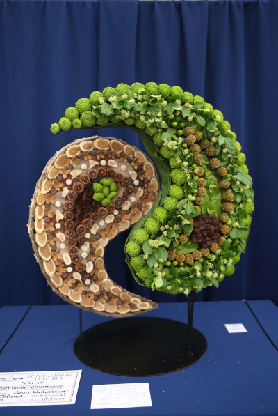 An entry in Stark Contrast class at the 2023 Royal Cheshire Show, incorporating the Cheshire Area Show in the Theatre of Flowers