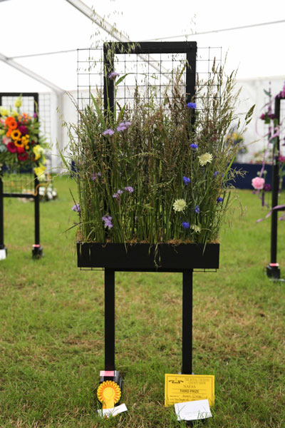 A Flower Clubs of Cheshire  entry in the The Power of Colour class of the 2026 Royal County Cheshire Show 