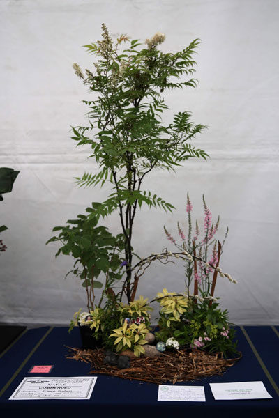 A Flower Clubs of Cheshire  entry in the Art in the Garden class of the 2026 Royal County Cheshire Show 