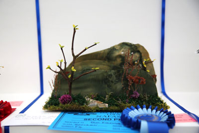 A Flower Clubs of Cheshire entry in the Horizon class of the 2026 Royal County Cheshire Show