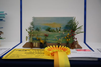 A Flower Clubs of Cheshire entry in the Horizon class of the 2026 Royal County Cheshire Show