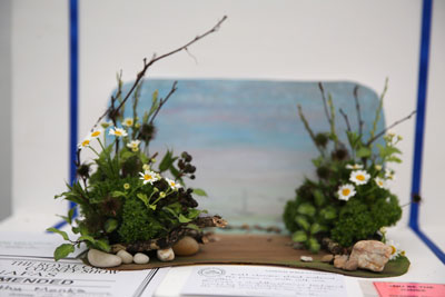A Flower Clubs of Cheshire entry in the Horizon class of the 2026 Royal County Cheshire Show