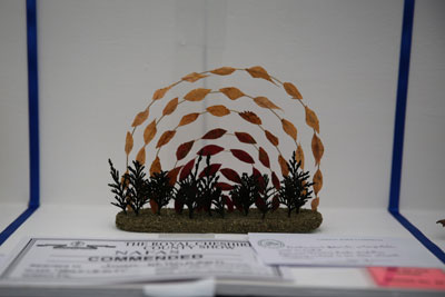 A Flower Clubs of Cheshire entry in the Horizon class of the 2026 Royal County Cheshire Show