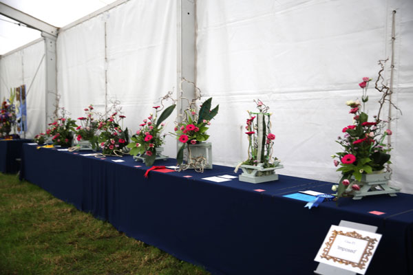 Flower Clubs of Cheshire entries in the An Imposed Class of the Royal County Cheshire Show