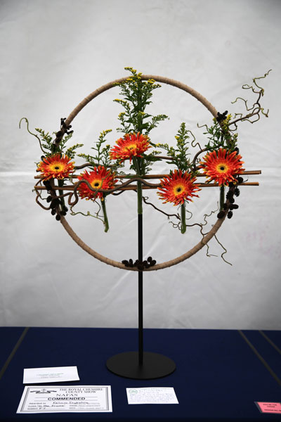 A Flower Clubs of Cheshire  entry in the In the Frame class of the 2026 Royal County Cheshire Show 
