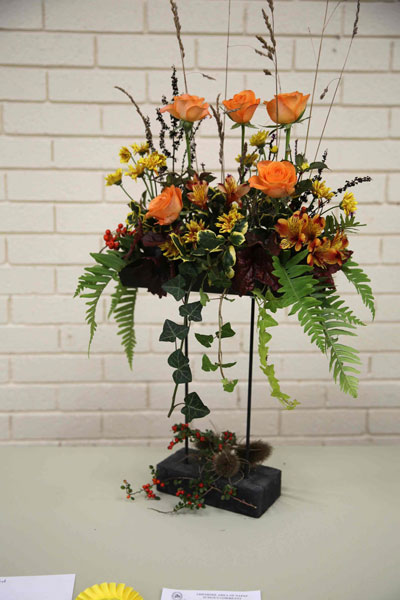 2026 AGM Competition Class 1 Photo