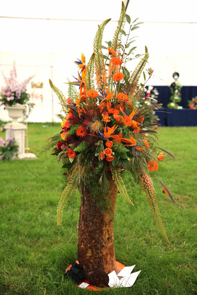 A Flower Clubs of Cheshire  entry in the A Ballet class of the Royal County Cheshire Show 