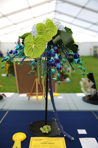A Flower Clubs of Cheshire  entry in the Singing in the Rain class of the Royal County Cheshire Show 