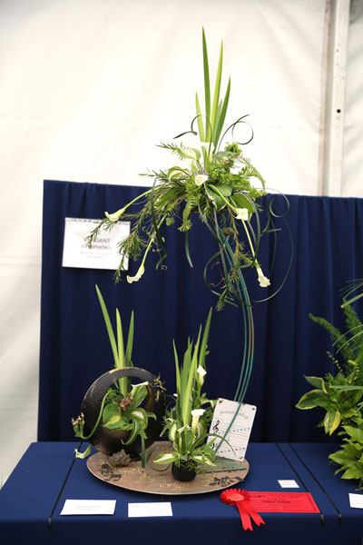 A Flower Clubs of Cheshire  entry in the Verdant Symphony class of the Royal County Cheshire Show 