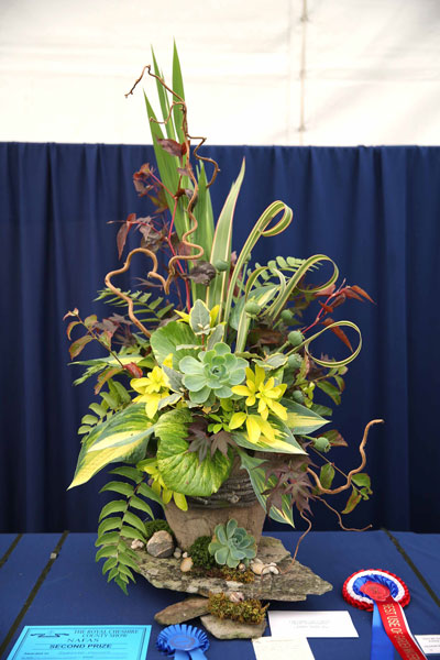A Flower Clubs of Cheshire  entry in the Verdant Symphony class of the Royal County Cheshire Show 