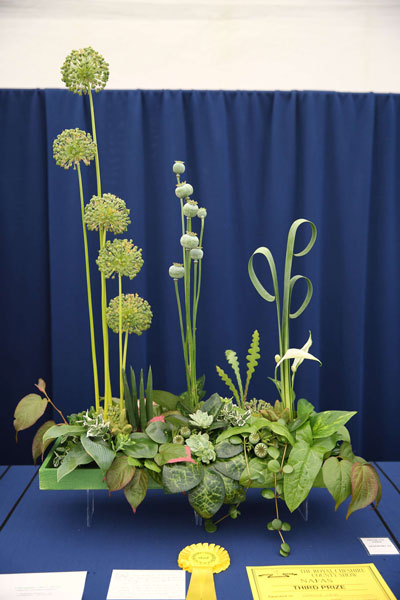 A Flower Clubs of Cheshire  entry in the Verdant Symphony class of the Royal County Cheshire Show 
