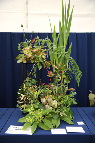 A Flower Clubs of Cheshire  entry in the Verdant Symphony class of the Royal County Cheshire Show 