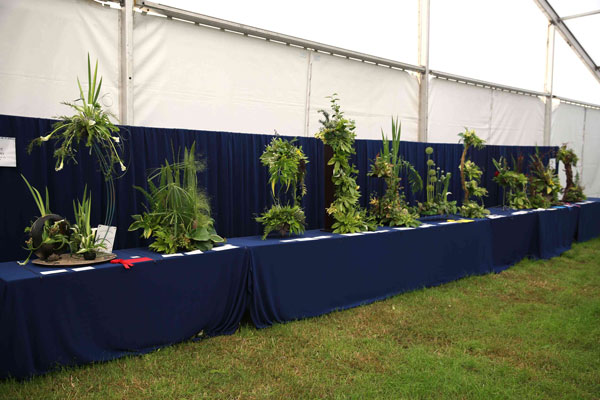Flower Clubs of Cheshire  entries in the Verdant Symphony class of the Royal County Cheshire Show 