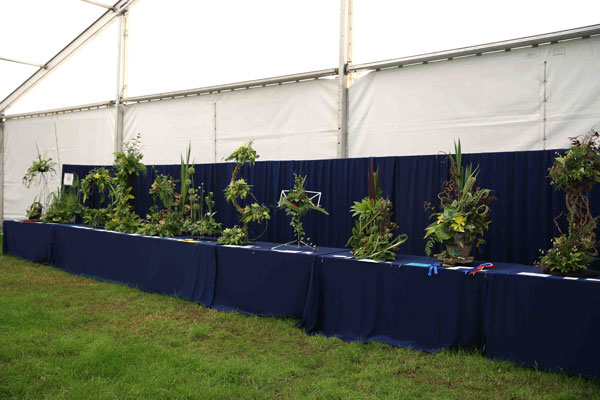 Flower Clubs of Cheshire  entries in the Verdant Symphony class of the Royal County Cheshire Show 