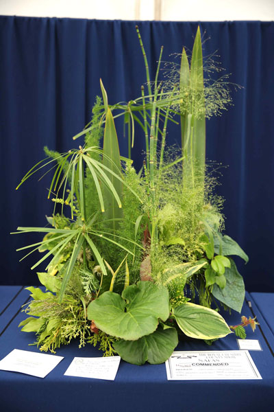 A Flower Clubs of Cheshire  entry in the Verdant Symphony class of the Royal County Cheshire Show 