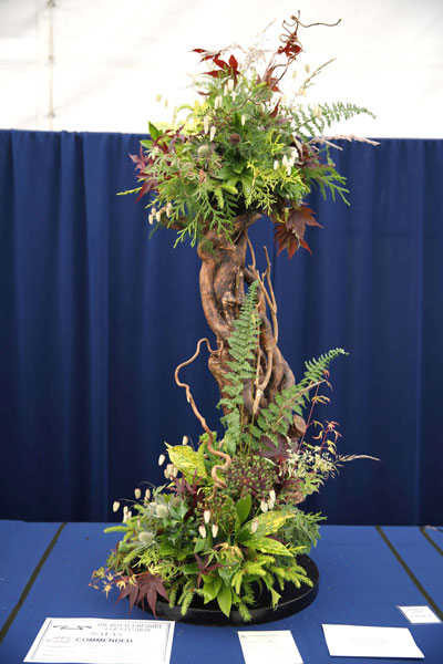 A Flower Clubs of Cheshire  entry in the Verdant Symphony class of the Royal County Cheshire Show 