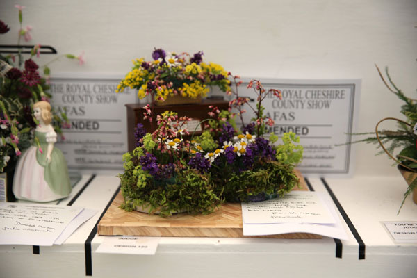 A Flower Clubs of Cheshire  entry in the Minuet class of the Royal County Cheshire Show 