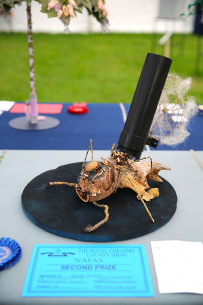 A Flower Clubs of Cheshire  entry in the A Nursery Rhyme class of the Royal County Cheshire Show 