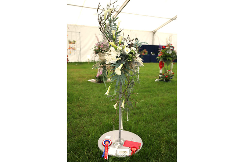 The winner of The Best in Show at the Royal Cheshire County Show 2025